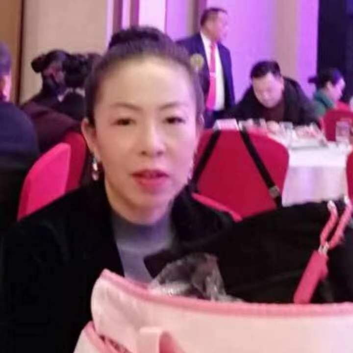 中秋桂花玉兔的第四张照片--宁波相亲服务中心