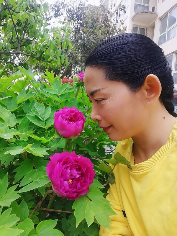 厚德载物的第一张照片--宁波相亲服务中心